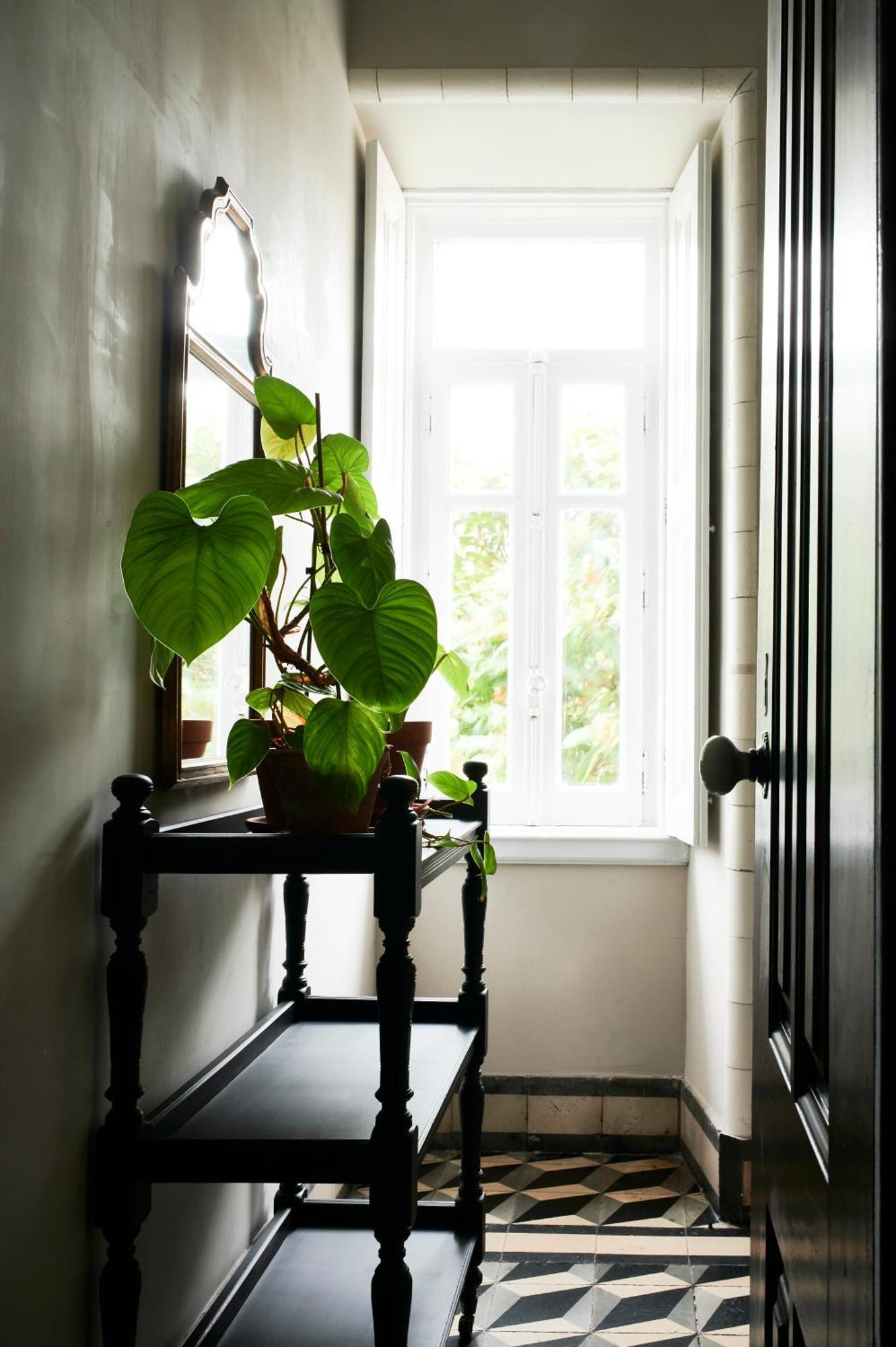 Vila Branca Guesthouse - Palacete Figueira da Foz Extérieur photo